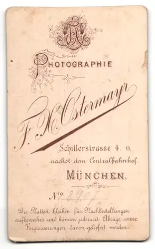 Fotografie F. X. Ostermayr, München, Portrait junger Herr in Anzug