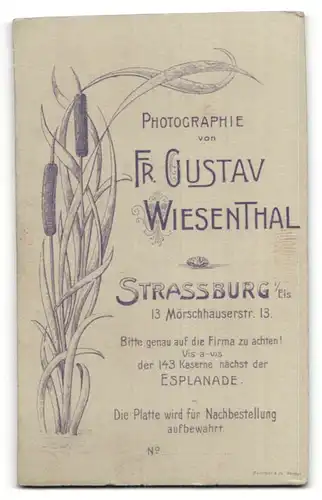 Fotografie Gustav Wiesenthal, Strassburg i. Els., Portrait junger dunkelhaariger Mann mit Oberlippenbart