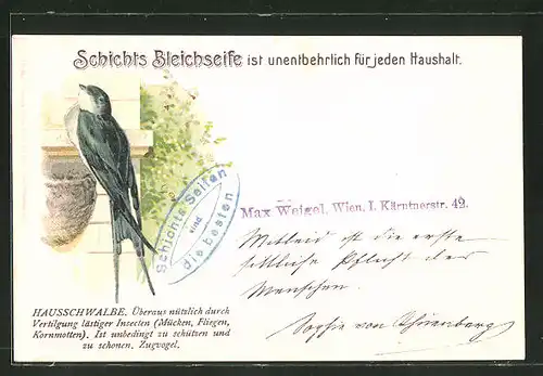 Lithographie Schichts Bleichseife, Hausschwalbe, überaus nützlich durch Vertilgung lästiger Insekten...