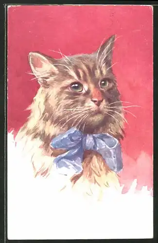 AK Langhaar-Katze mit blauer Schleife