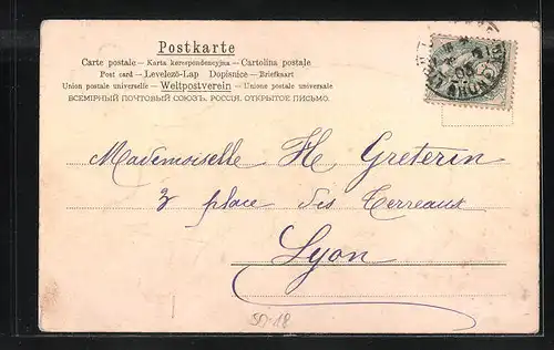 AK Porte bonheur 1904, Schwein auf der Wiese mit einem vierblättrigen Kleeblatt
