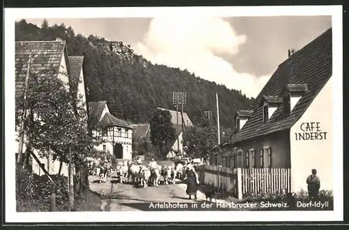 AK Artelshofen / Hersbrucker Schweiz, Kuhtrieb am Cafe Inderst