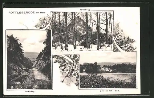 AK Rottleberode / Harz, Totenweg, Schloss mit Teich, Grasburg