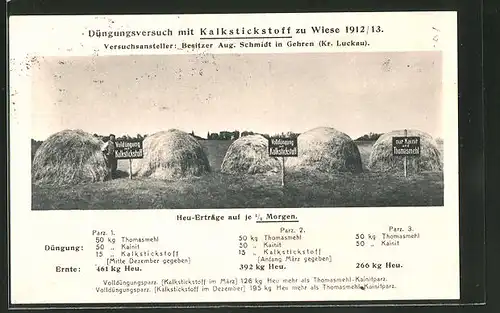 AK Reklame für Kalkstickstoff, Düngungsversuch zu Wiese 1912 /13
