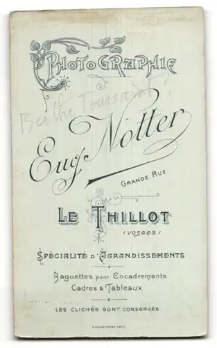 Fotografie Eug. Notter, Le Thillot, Portrait hübsche brünette Dame mit Hochsteckfrisur in edler Bluse mit Stickerei