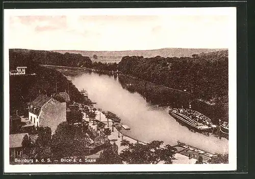 AK Bernburg a. d. S., Blick auf die Saale, Dampfer