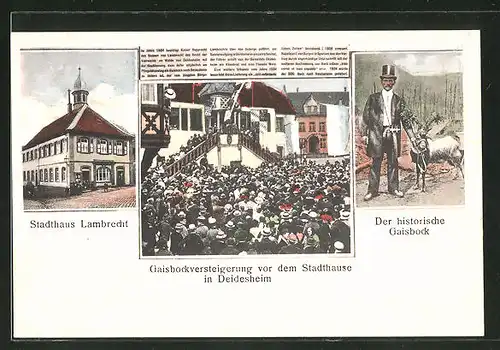 AK Deidesheim, Stadthaus Lambrecht, Gaisbockversteigerung vor dem Stadthause, Der historische Gaisbock
