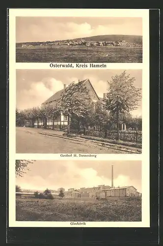 AK Osterwald, Gasthof H. Dannenberg, Glasfabrik, Panorama