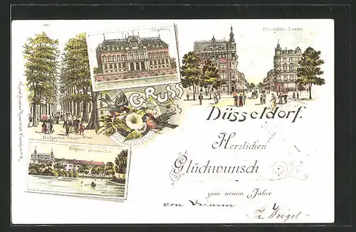 Lithographie Düsseldorf, Hofgarten, der grosse Teich, Ständehaus, Hofgarten - Seufzer-Allee, Elberfelder Strasse
