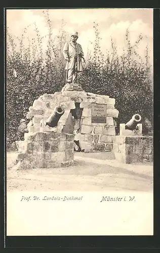 AK Münster, Prof. Dr. Landois-Denkmal