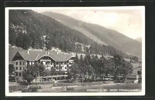 AK Steinach am Brenner, Partie am Hotel Steinacherhof