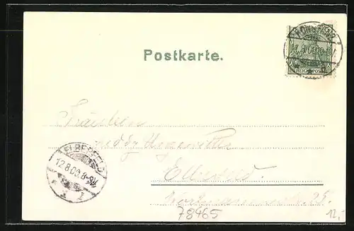 Lithographie Insel Mainau, Ortsansicht, Schlosshof, Sicht v. d. Seeseite, Dampfschiff Kaiser Wilhelm