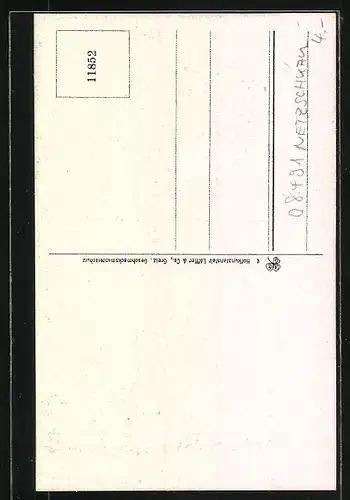 AK Netzschkau, Bismarckturm auf dem Kuhberg