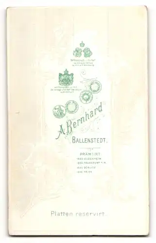 Fotografie A. Bernhard, Ballenstedt, Portrait Herr mit Oberlippenbart