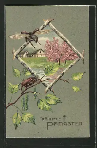 Präge-AK "Fröhliche Pfingsten", Landschaft zur Baumblüte mit Maikäfer am Birkenzweig