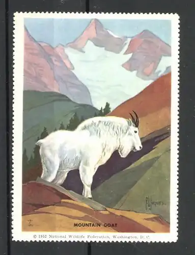 Künstler-Reklamemarke Mountain Goat, Bergziege