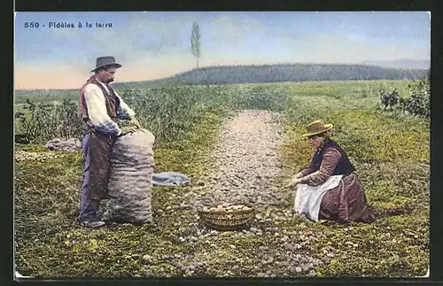 AK Mann und Frau bei der Kartoffelernte auf dem Feld