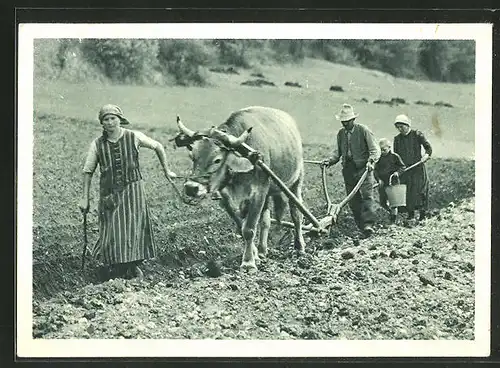 AK Bergbäuerin hilft beim Pflügen des Ackers, Landwirtschaft