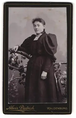 Fotografie Alwin Dietrich, Waldenburg, Portrait junge Frau in Kleid