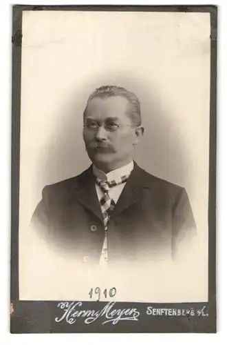 Fotografie Herm. Meyer, Senftenberg i/L, Portrait bürgerlicher Herr mit Schnauzbart und Brille