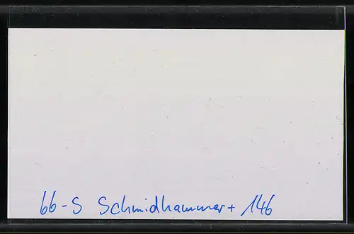 Künstler-Reklamemarke Schmidhammer, "Schultz-Grünlack"-Sekt, Rüdesheim, Fuchs und Storch trinken Sekt