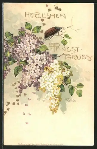 Künstler-Lithographie Ulrich Weber: Pfingstgruss, Maikäfer und Blüten