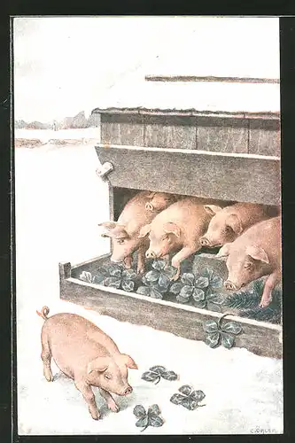 Künstler-AK C. Öhler: Schweine fressen Glücksklee