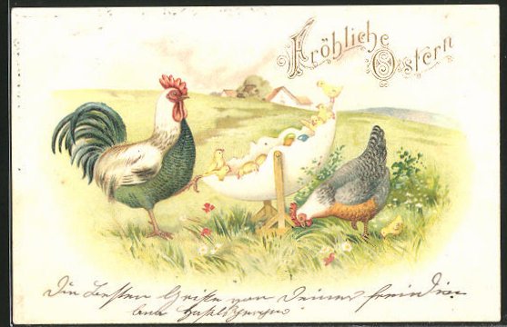 Riesen-Hahn vids