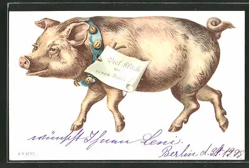 AK Neujahrsgruss, Schwein mit Glöckchenhalsband