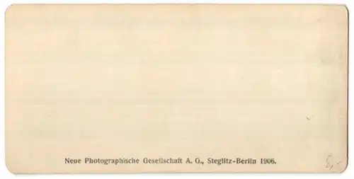 Stereo-Fotografie NPG, Berlin-Steglitz, Ansicht Zackenfall, Wasserfall im Riesengebirge