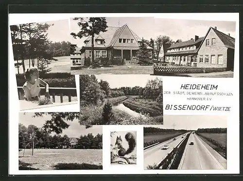 AK Bissendorf / Wietze, Heideheim der Stadt. Gewerbl. Berufsschulen