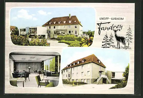 AK Bad Iburg, Hotel-Kneipp-Kurheim Fandrey, Von Wartenberg Strasse 9