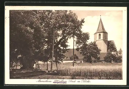 AK Meimsheim, Blick auf 1000jährige Linde und Kirche