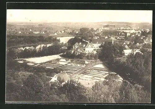 AK Waldsee, Fischzucht-Anstalt von Karl Vollmer aus der Vogelschau