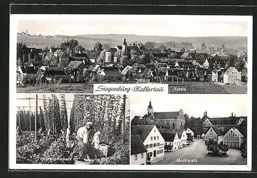 AK Siegenburg / Hallertau, Hopfenpflücker bei der Hopfenernte, Marktplatz und Ortspanorama