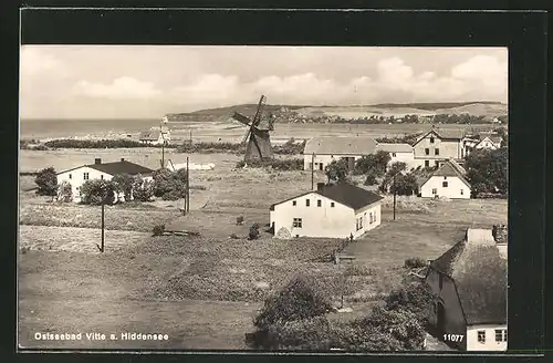 AK Vitte /Hiddensee, Ortsansicht mit Windmühle