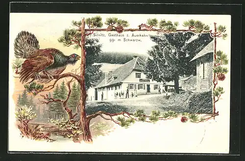 Passepartout-Lithographie Sirnitz, Gasthaus z. Auerhahn