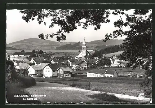 AK Seekirchen am Wallersee, Ortsansicht mit Blick ins Land