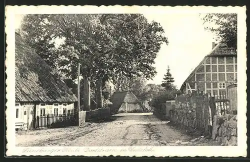 AK Undeloh, Dorfstrasse in der Lüneburger Heide