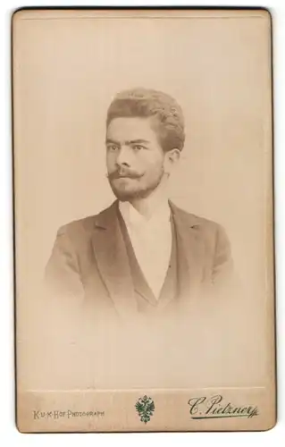 Fotografie C. Pietzner, Wien, Portrait junger Herr mit Bart