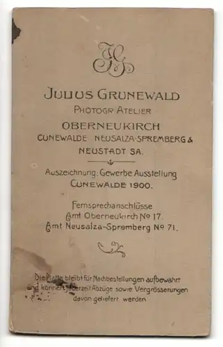 Fotografie Julius Grunewald, Oberneukirch, Neustadt, Portrait Herr mit Schnauzbart