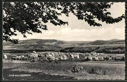 AK Viesebeck, Ortsansicht aus der Ferne