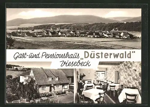 AK Viesebeck, Ortsansicht und zwei Ansichten vom Gast- und Pensionshaus "Düsterwald"