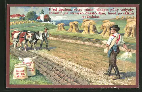 AK Dünger-Reklame, Bauern mit Rindergespann