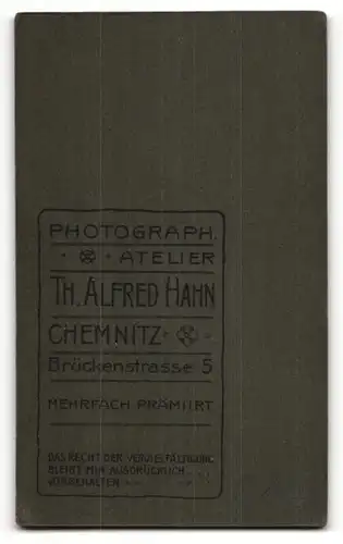 Fotografie Th. Alfred Hahn, Chemnitz, Portrait junger Herr mit zeitgenöss. Frisur
