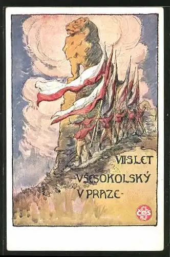 AK Sokol 1920, VII. Slet Vsesokolsky v Praze, Athleten mit Flaggen