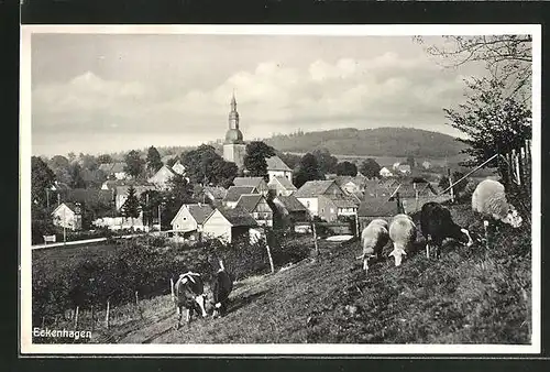 AK Eckenhagen, Ortsansicht mit Kirchturm und Schafherde