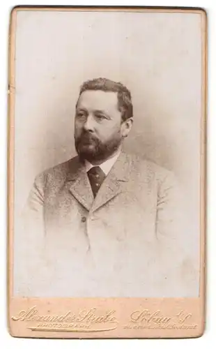 Fotografie Alexander Strube, Löbau i/S, Portrait Mann mit Bart