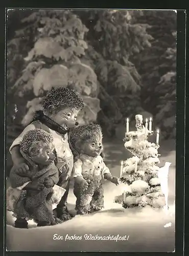AK Meckis im schneebedecktem Garten am Weihnachtsbaum