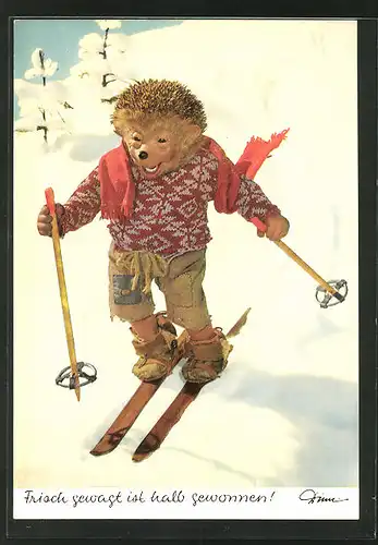 AK Mecki fährt Ski